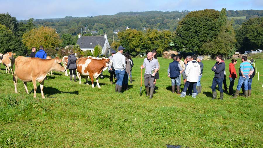 Le Gaec Le Bourrigaud accueillait des visiteurs vendredi dernier, lors d'une porte ouverte organisée par Pâture Sens, une structure spécialisée dans le conseil en pâturage. - Illustration Grand troupeau, petits paddocks