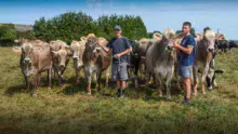 Pierrick Œillet présente Ibardin, championne des Côtes d’Armor aux Terralies en 2016, son fils Quentin est accompagné de Gazelle.