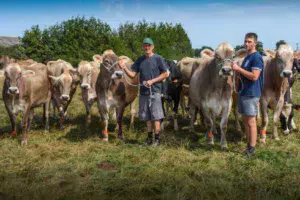 Pierrick Œillet présente Ibardin, championne des Côtes d’Armor aux Terralies en 2016, son fils Quentin est accompagné de Gazelle.