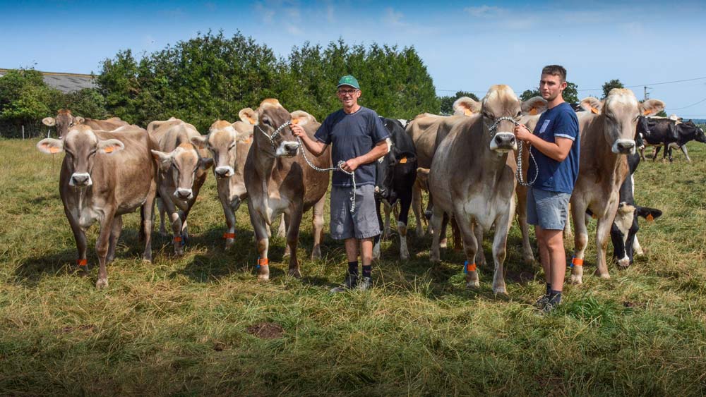 Pierrick Œillet présente Ibardin, championne des Côtes d’Armor aux Terralies en 2016, son fils Quentin est accompagné de Gazelle. - Illustration Brune : le meilleur compromis lait et taux