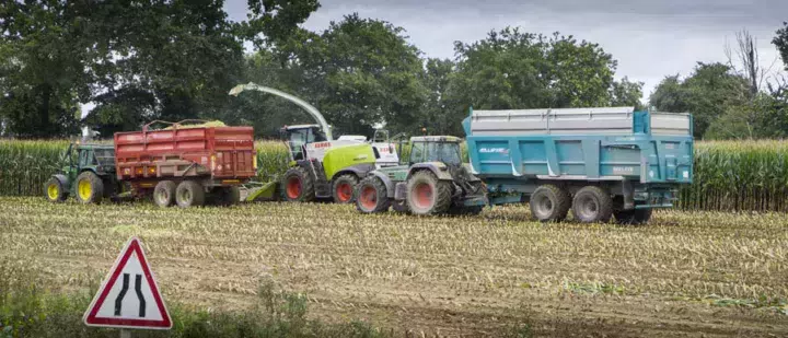 chantier-mais-ensilage-silo-2016-shredlage-claas-jaguar