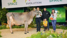 Holiday, du Gaec La Saudraie, au Méné (22), obtient le prix de mMeilleure mamelle et Championne adulte.