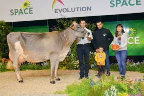 Holiday, du Gaec La Saudraie, au Méné (22), obtient le prix de mMeilleure mamelle et Championne adulte.