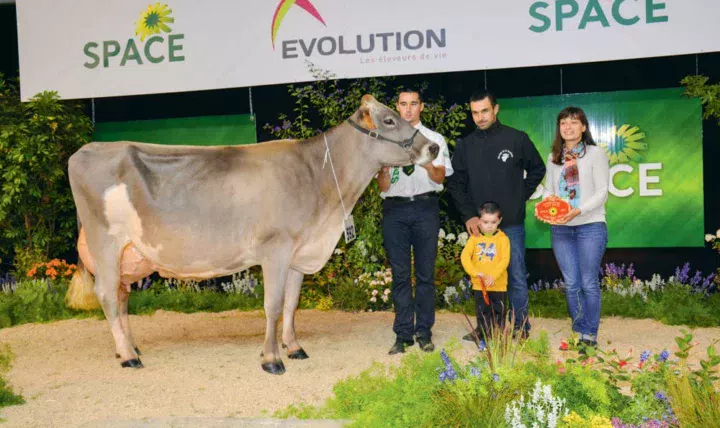 Holiday, du Gaec La Saudraie, au Méné (22), obtient le prix de mMeilleure mamelle et Championne adulte.