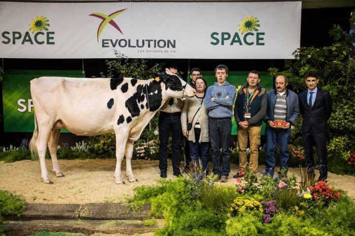 Libellule, à Pascal Le Gargasson dans le Morbihan, est Championne et Meilleure mamelle espoir. 