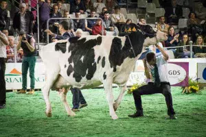 concours-holstein-space