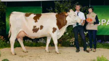 Hexode, de l’EARL Dabo, à Bourgon (53), a été sacrée Grande Championne 2017, Championne adulte et Meilleure mamelle adulte.