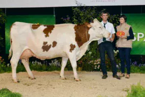 Hexode, de l’EARL Dabo, à Bourgon (53), a été sacrée Grande Championne 2017, Championne adulte et Meilleure mamelle adulte.