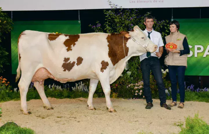 Hexode, de l’EARL Dabo, à Bourgon (53), a été sacrée Grande Championne 2017, Championne adulte et Meilleure mamelle adulte.