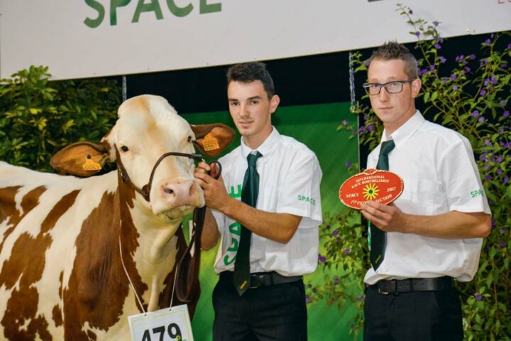 Pour les vaches en 1re lactation de plus de 30 mois, c’est Javotte, appartenant à Prudor Charly aux Portes-du-Coglais (35), qui remporte le 1er prix.