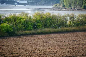 eau-environnement-baie-vilaine