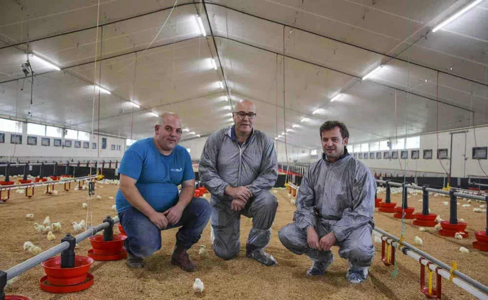 Florent Duffros, aviculteur ; Jean-Pierre Guillou, responsable commercial Fancom et David Serot, gérant d’Agrilec. - Illustration Une bonne ventilation du poulailler se joue dès la trappe