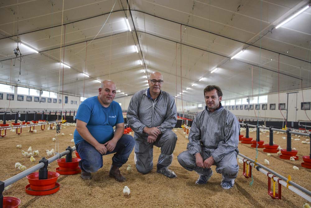 Florent Duffros, aviculteur ; Jean-Pierre Guillou, responsable commercial Fancom et David Serot, gérant d’Agrilec. - Illustration Une bonne ventilation du poulailler se joue dès la trappe