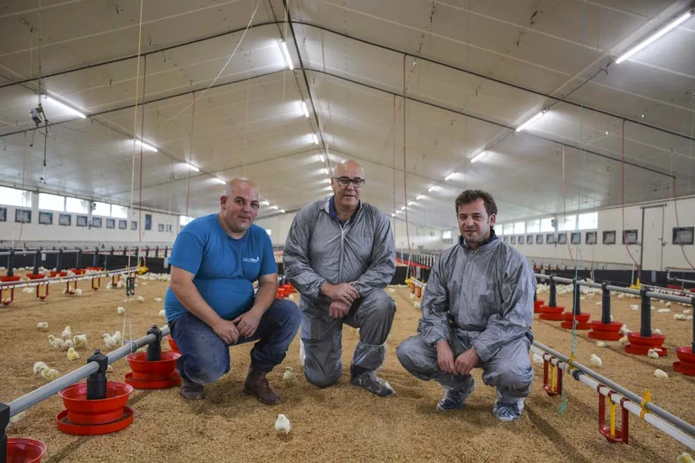 Florent Duffros, aviculteur ; Jean-Pierre Guillou, responsable commercial Fancom et David Serot, gérant d’Agrilec. - Illustration Une bonne ventilation du poulailler se joue dès la trappe