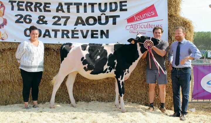 Dimanche, AGH Lola (Fitz x Goldwyn), présentée par Valentin Boulet et appartenant à l’EARL de Kerroc’h à Trébeurden a remporté l’Open génisses. Un concours départemental dirigé par le juge international Giuseppe Beltramino assisté d’Anne Merdrignac.  