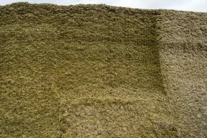 La fin du silo 2016 attaqué à la fraise de l'automotrice.