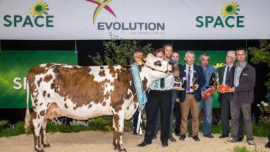 Photo of Concours Normande : Hamilton en pole position