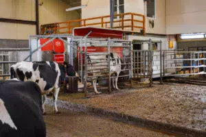 Le robot de traite Lely A4 a succédé en 2011 au A2 qui datait de 2000.