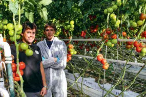 À gauche, Pierre Guyomar, producteur à Camlez et Jean Troadec, technicien à Hortalis, lors du suivi Natugro.