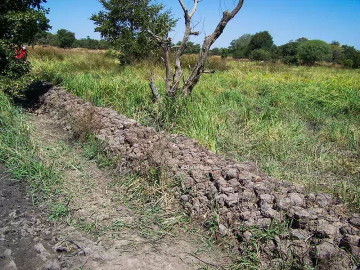 Un gabion, pour ralentir et stocker de l'eau de pluie.