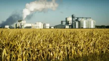 Aux USA, l’éthanol poursuit sa progression, pour absorber la production de maïs, en hausse.