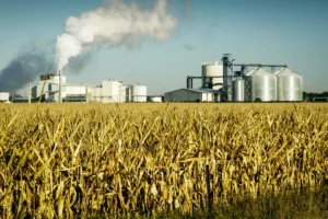 Aux USA, l’éthanol poursuit sa progression, pour absorber la production de maïs, en hausse.