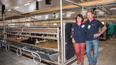 Photo of Veau : les conditions de travail au cœur de la reconversion