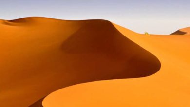 Photo of En Algérie, une ferme géante de 30000ha au cœur du Sahara