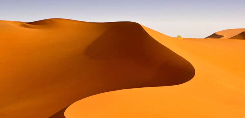 sahara - Illustration En Algérie, une ferme géante de 30000ha au cœur du Sahara