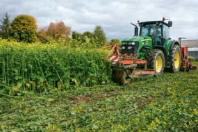 Exemple de semis simplifié dans les Côtes d’Armor. Le rouleau avant casse la moutarde brune, le semis simplifié est réalisé derrière.