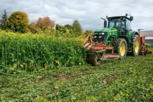 Exemple de semis simplifié dans les Côtes d’Armor. Le rouleau avant casse la moutarde brune, le semis simplifié est réalisé derrière.