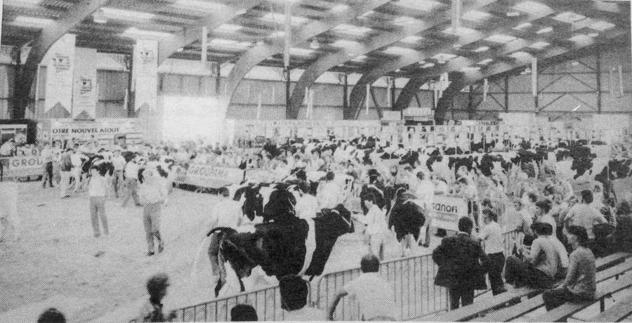 Une des innovations de Space : présenter dans un même lieu, sous le même hall, les animaux, les concours et les différents partenaires de l’amont et de l’aval.