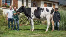 Maryvonne, Arsène et Sébastien David accompagnés de DHP Joker (Chelios x Windbrook). Avec 1,62 m au sacrum et une bonne mamelle, cette primipare pointée TB 88 défendra les couleurs de l’EARL au Space.