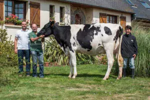 Maryvonne, Arsène et Sébastien David accompagnés de DHP Joker (Chelios x Windbrook). Avec 1,62 m au sacrum et une bonne mamelle, cette primipare pointée TB 88 défendra les couleurs de l’EARL au Space.