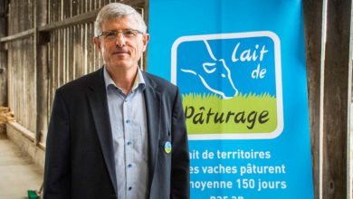 Photo of Le lait de pâturage bientôt certifié
