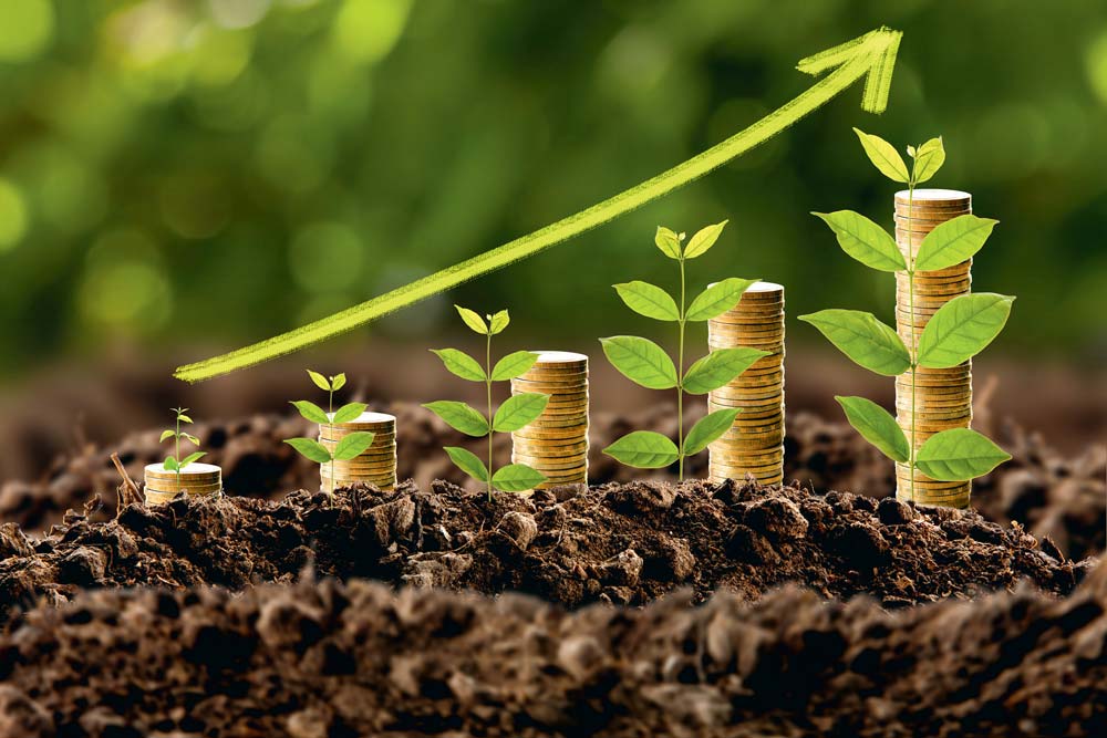 COURBE-EPARGNE-SALARIALE - Illustration Se constituer une épargne salariale