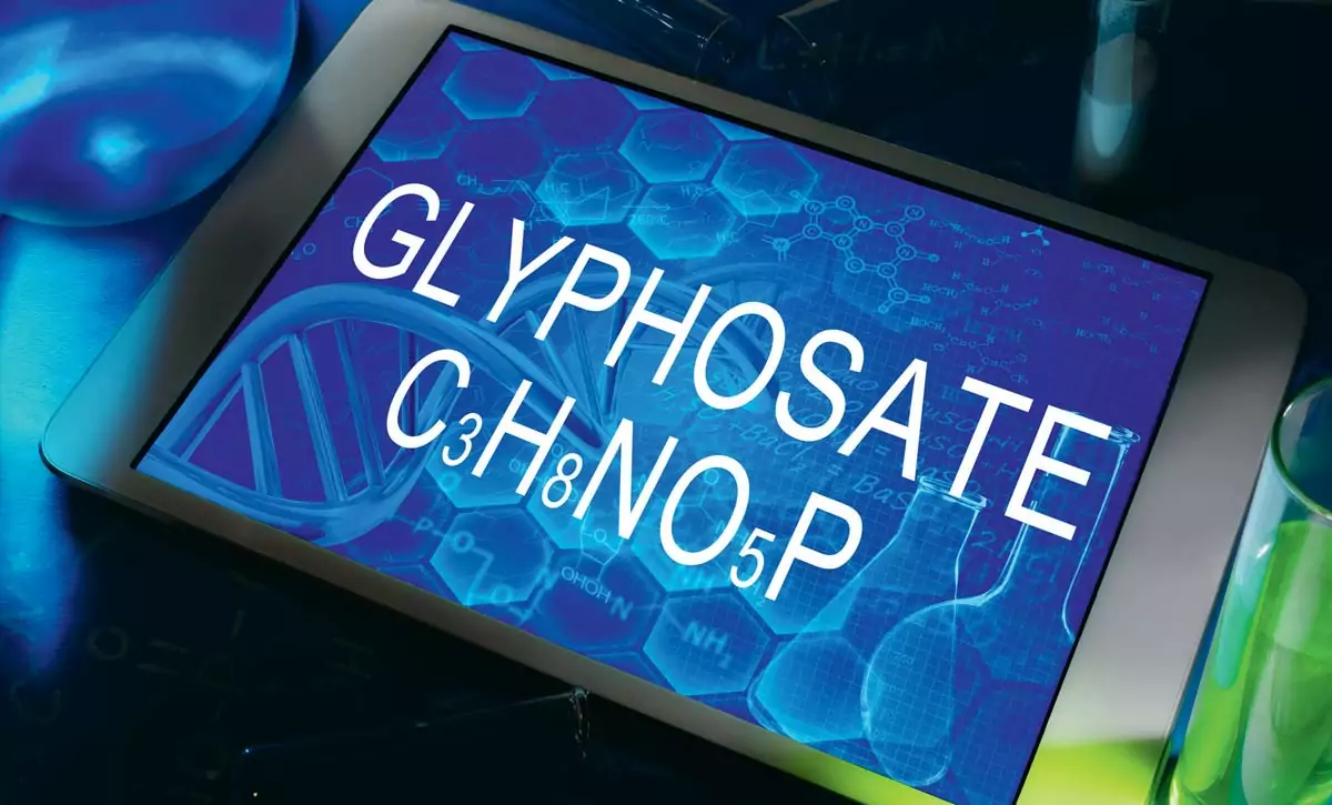 Glyphosate - Illustration Glyphosate : l’Allemagne prévoit une interdiction après 2023