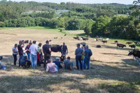 Le groupe a visité huit fermes majoritairement herbagères.