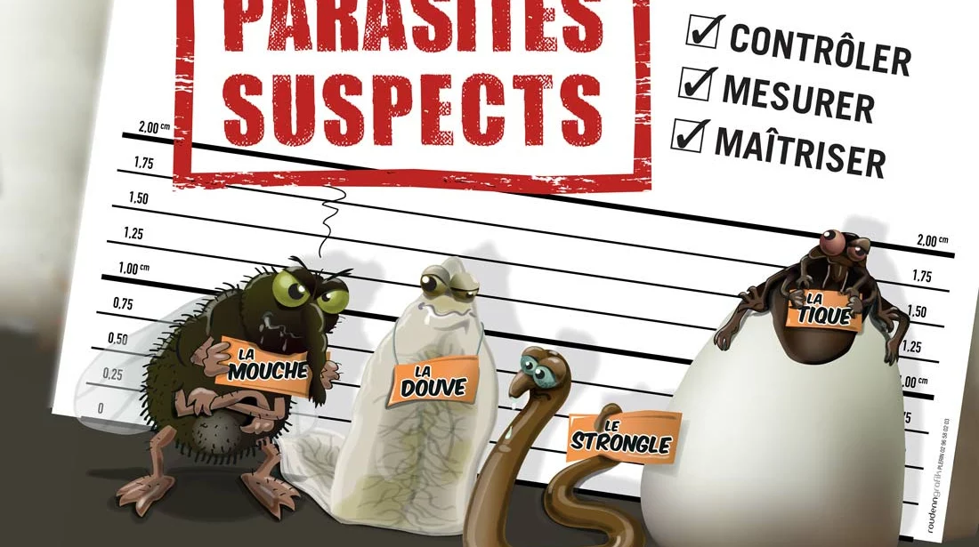 breizh-vet-tour-parasites - Illustration Broutards et strongles