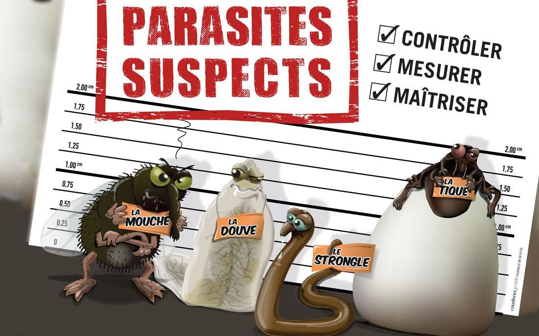 breizh-vet-tour-parasites - Illustration Breizh Vet’ Tour 2017 : Les parasites envahissent la scène !