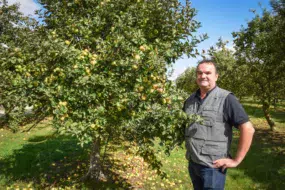 Guillevic, Douce Moën, Douce Coëtligné, Kermerrien, Bedan, Peau de chien... Dans ses vergers, Jean-Michel Nicol cultive différentes variétés de pommes à cidre, qui sont autant de crus, reflets d'un terroir.