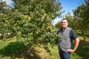 Guillevic, Douce Moën, Douce Coëtligné, Kermerrien, Bedan, Peau de chien... Dans ses vergers, Jean-Michel Nicol cultive différentes variétés de pommes à cidre, qui sont autant de crus, reflets d'un terroir.