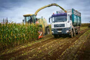 Le camion ne perd pas d’adhérence dans le champ et convoie 40 m3 à chaque remorque.