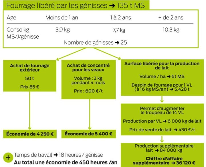 Les gains réalisés en externalisant l’élevage des génisses