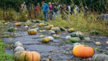 Un groupe d'élèves a visité la ferme du Gaec de la Terre et des Hommes, lors de la journée portes ouvertes organisée par le groupement des agriculteurs biologiques.