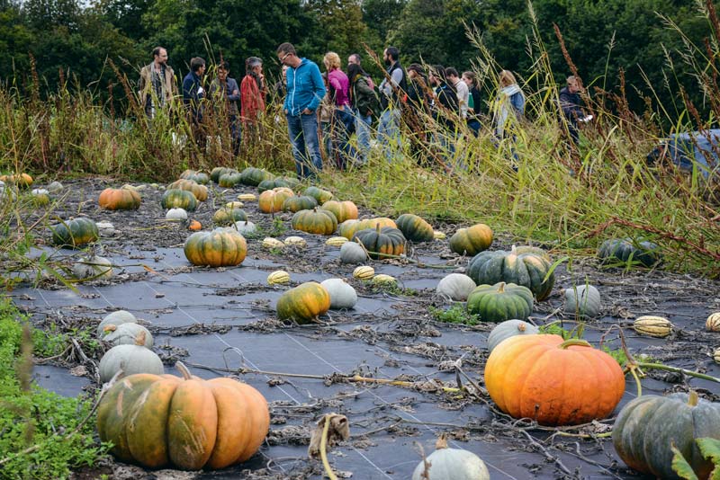 Un groupe d'élèves a visité la ferme du Gaec de la Terre et des Hommes, lors de la journée portes ouvertes organisée par le groupement des agriculteurs biologiques. - Illustration Plus de 8000 paniers de légumes livrés dans l’année