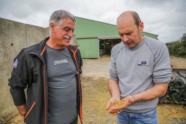 Christian Bouget (à gauche) et Christian Quiguer (à droite) se consultent dans le choix et l’utilisation de ses produits Triskalia.