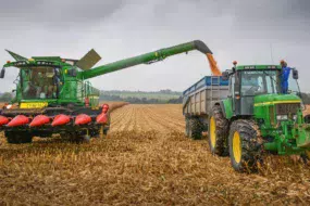 Plusieurs densités de semis ont été testées dans cette parcelle de maïs. Les rendements, recoupés avec le potentiel du sol aux divers endroits de la parcelle, livreront des enseignements aux agronomes de la Cecab-Coop de Broons.