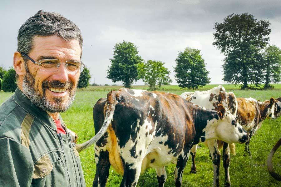 Les vaches ingèrent 10 kg MS d'herbe par jour : un niveau de pâturage que Michel Priour souhaite conserver jusque fin octobre. - Illustration Il mise sur le pâturage d’automne