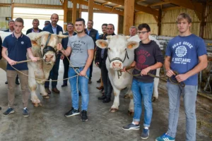 Les membres de la SDA qui organisent le salon Ohhh la vache et les partenaires avec 2 animaux de race charolaise du lycée Kerlebost à Saint-Thuriau qui participeront à l’interrégional Charolais.